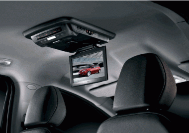 Fiat Bravo DVD-Player & Monitor 