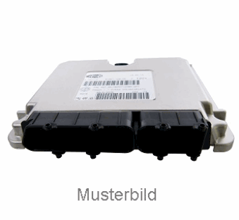 Motorsteuergerät 