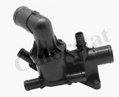 Thermostat 6000616834, 110615482R 