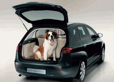 Fiat Croma, Hundegitter 