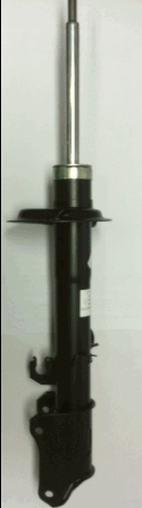 GAS-Federbein hinten 