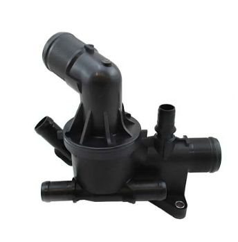 Thermostat 6000616822, 110615482R 