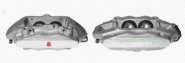 Bremssattel vorn rechts AUSTAUSCH 