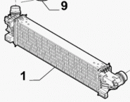 Ladeluftkühler 6000618096 